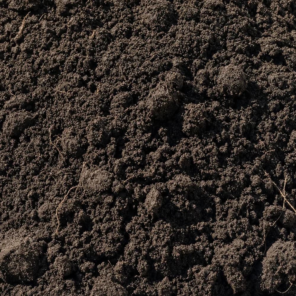 Top Soil