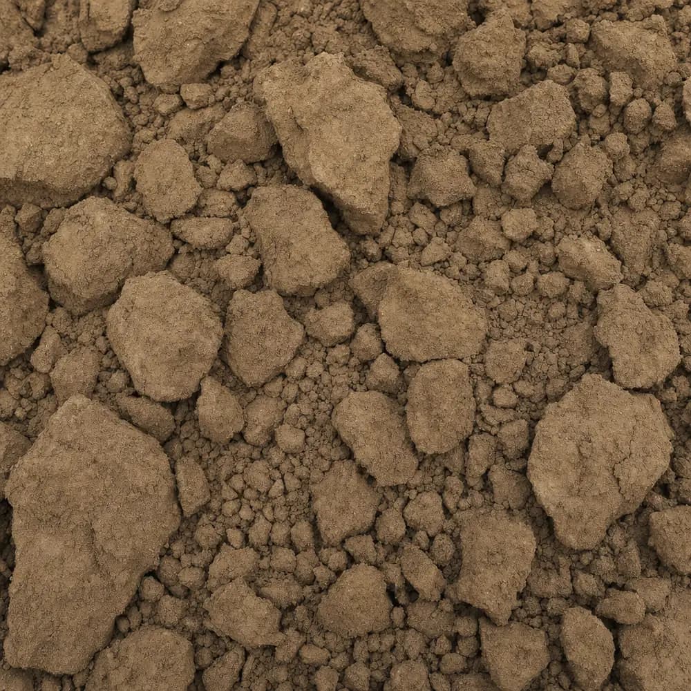 Fill Dirt - Image 2