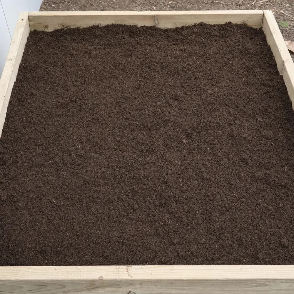 Top Soil - Image 4